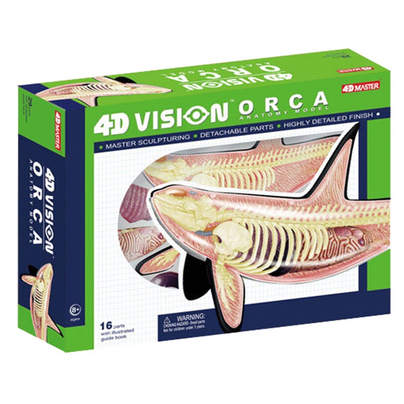 Medical Lab Technology - 4D Vision Orca Кит Скелет Анатомия